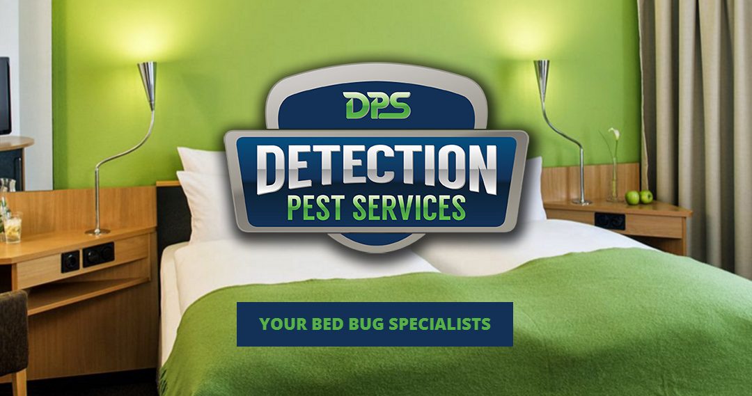 Detection Pest Services