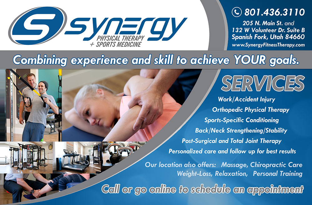 synergybrochure1